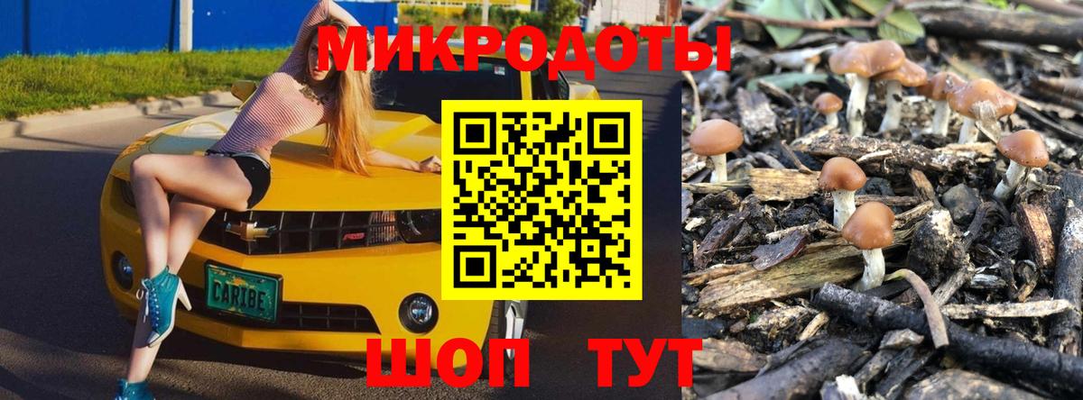 Псилоцибиновые грибы ЛСД Гурьевск